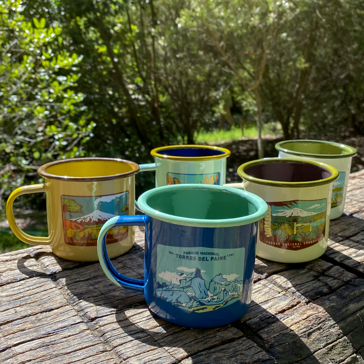 Pack 5 Tazones Esmaltados Parques Nacionales 330ml