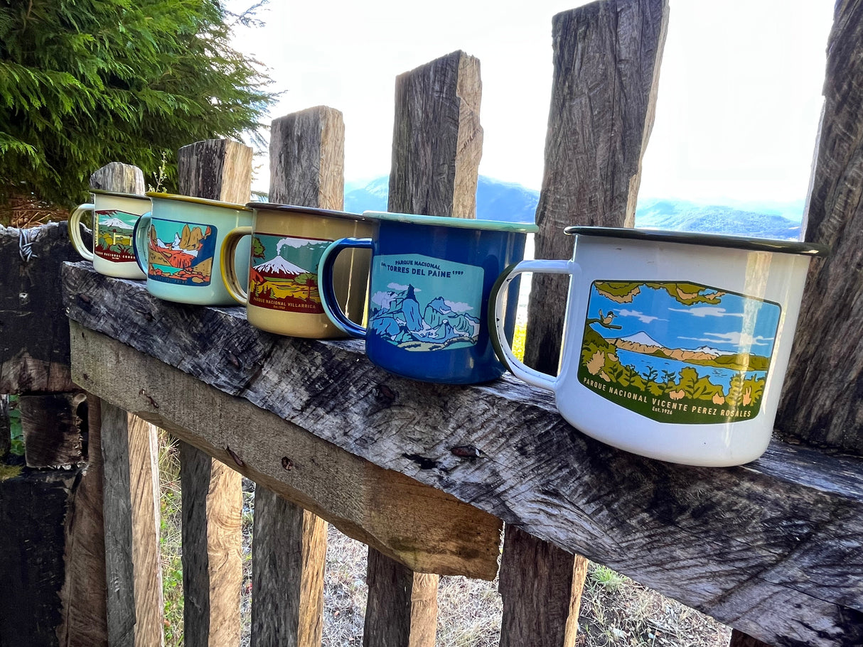 Pack 5 Tazones Esmaltados Parques Nacionales 330ml