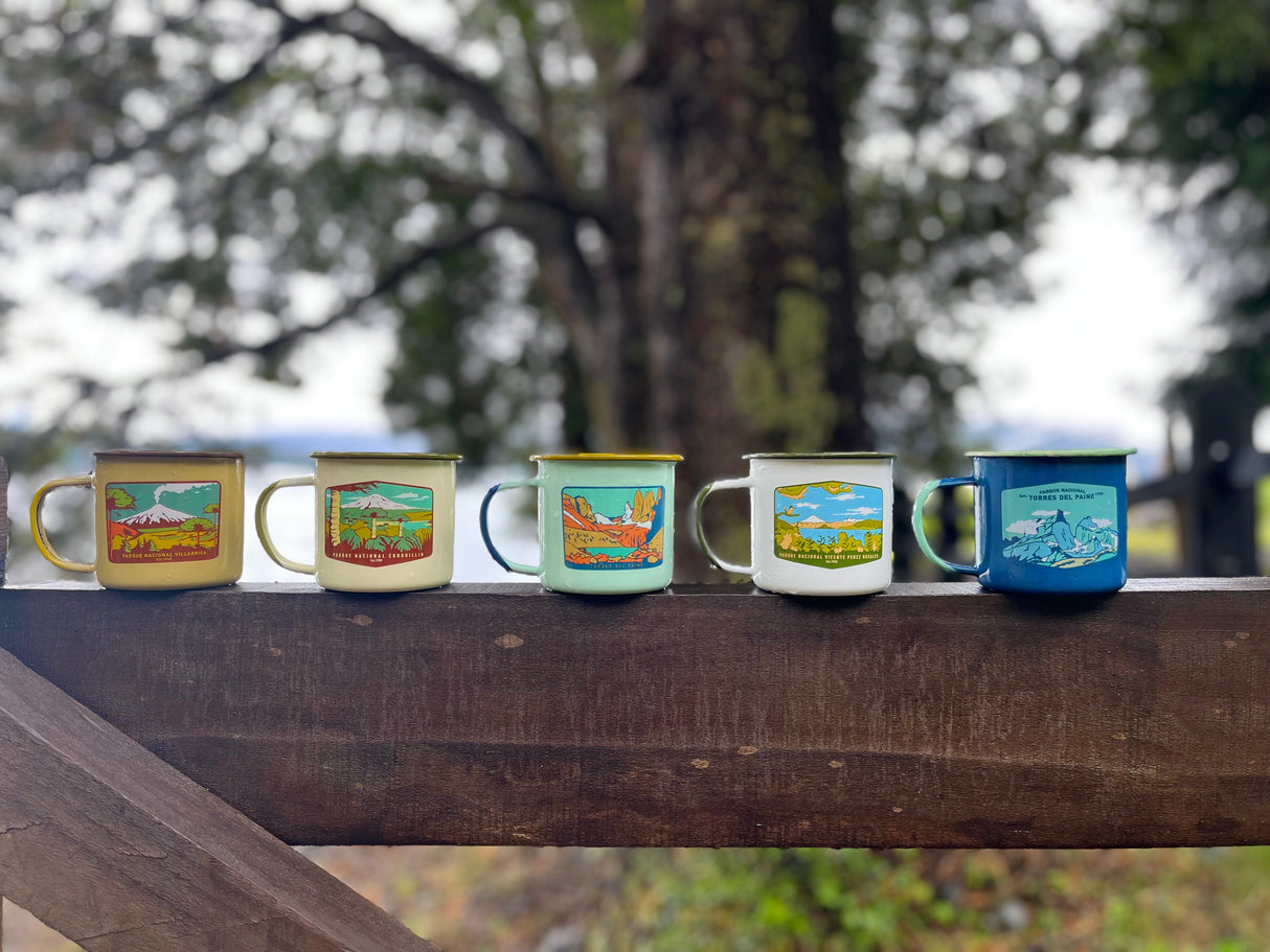 Pack 5 Tazones Esmaltados Parques Nacionales 330ml