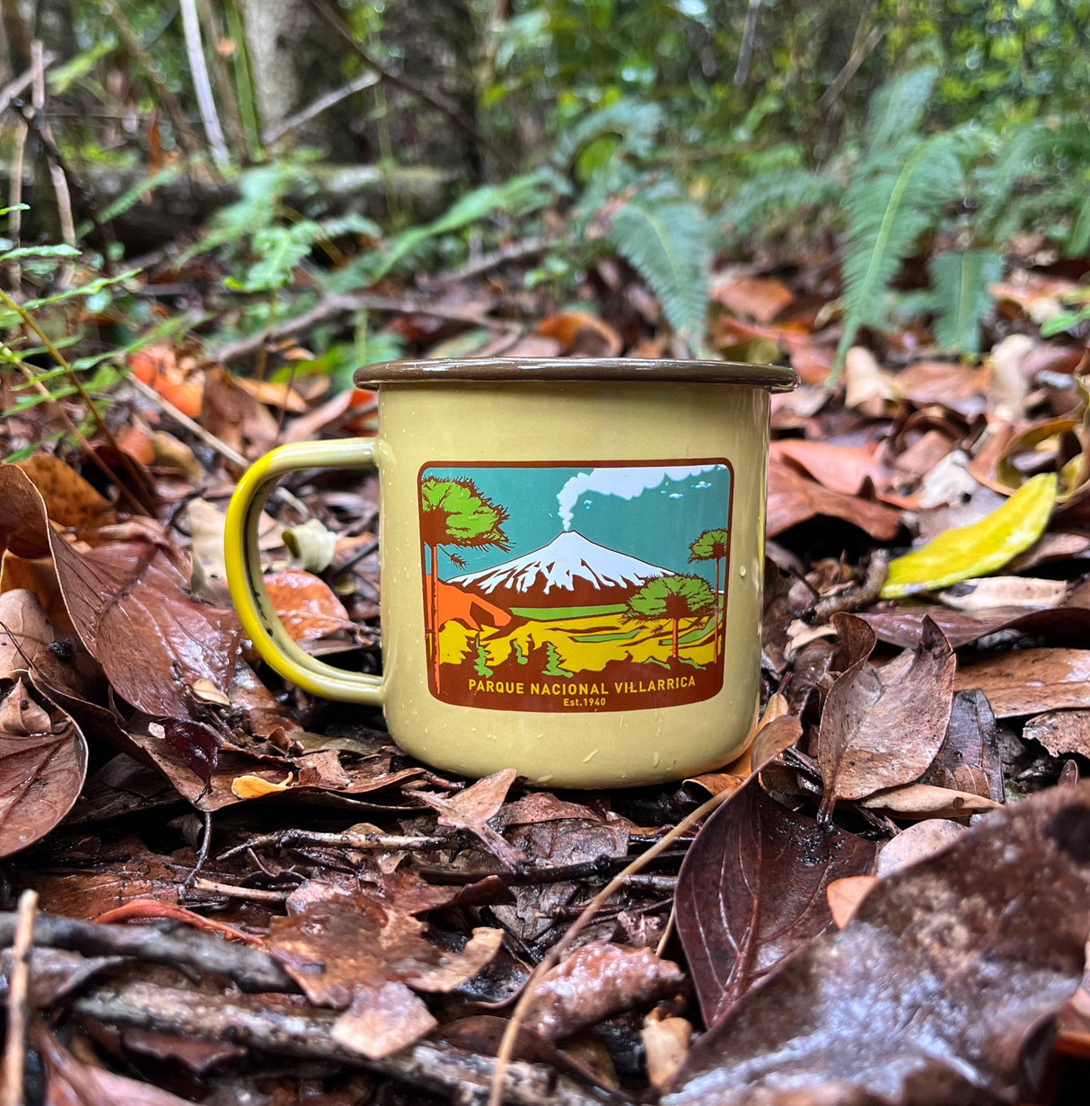 Tazón Mug Acero Esmaltado PN. Villarrica 330ml