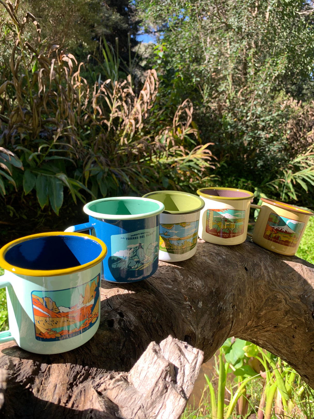 Pack 5 Tazones Esmaltados Parques Nacionales 330ml